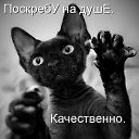 ���� ����, �������, 39 ��� - ��������� 13 ����� 2015