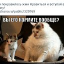 ���� �������, ������, 72 ���� - ��������� 23 ����� 2015 � ������ �������� ���������