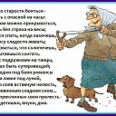 ���� �������, ����������� - ��������� 14 ������ 2015 � ������ ������ ��������