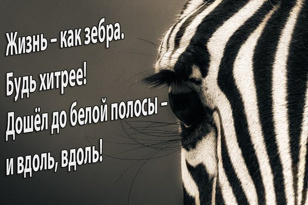   ! - 24  2015  23:00