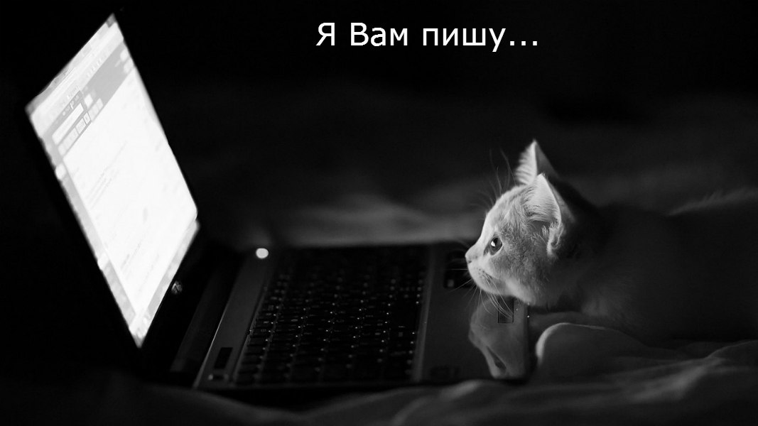  - 20  2015  15:24