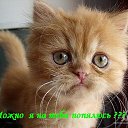 ���� ������, �������� - ��������� 21 ������ 2015 � ������ ���� ����������
