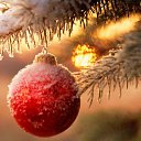 ���� ������, ����� - ��������� 19 ������ 2015 � ������ ������ ��������