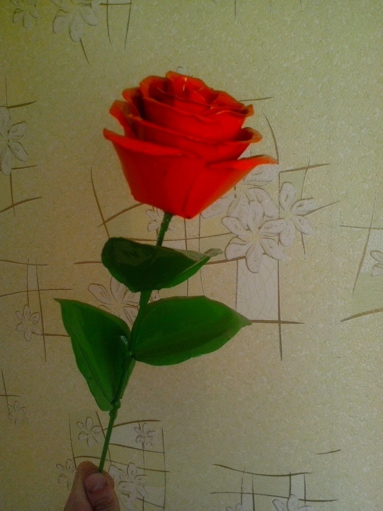 ������� ������� - 14 ������ 2015 � 14:09