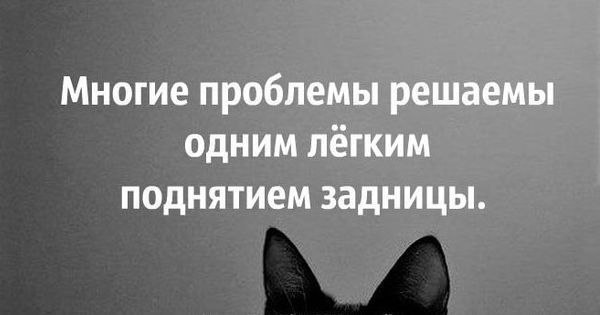   ! - 26  2015  12:01