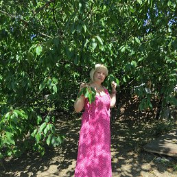 ����, ������