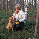 ���� ���������, ��������, 65 ��� - ��������� 1 ������ 2015 � ������ ���� ����������