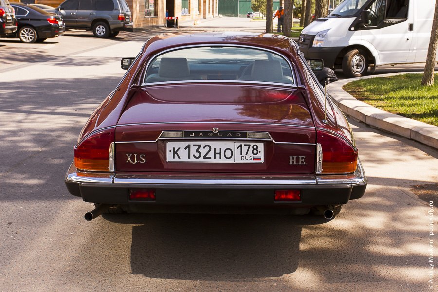 Jaguar XJS HE, 1983. : 260 /  100 /: 7.5  : ... - 6