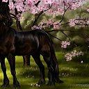  Raya, , 55  -  30  2015    