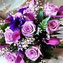 ���� ��������, ������ - ��������� 24 ������� 2014 � ������ ������ ��������