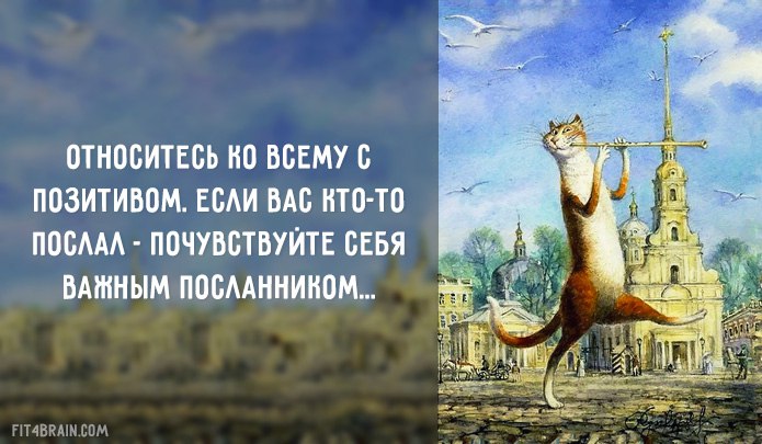   - 6  2015  19:05