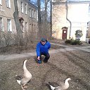 ���� ������, �����-���������, 63 ���� - ��������� 1 ������ 2015 � ������ ���� ����������