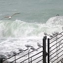 ���� ���, ������, 66 ��� - ��������� 27 ������� 2014 � ������ ���� ����������