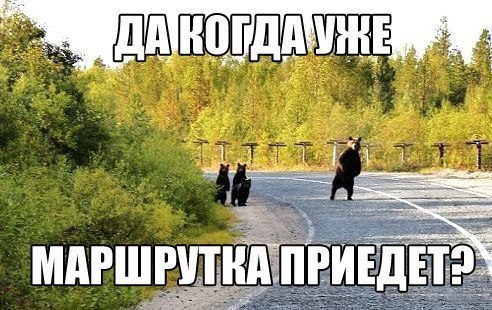   ,  : <a href=