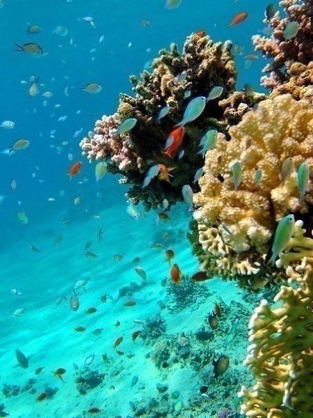 ...белый песочек...морской ветерок...отсутствие проблем - 4