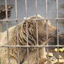 ���� �������, �����, 75 ��� - ��������� 12 ������ 2015 � ������ ����