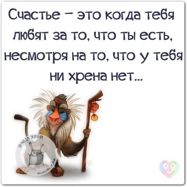 ������ - 24 ������� 2014 � 13:42