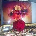 ���� ������, �����������, 62 ���� - ��������� 8 ����� 2015 � ������ ������ ��������