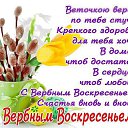 ,  -  5  2015    