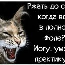 ���� ����, ������ - ��������� 14 ������� 2015 � ������ ������ ��������