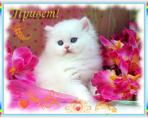 ~Dasha~ - 12  2015  05:14