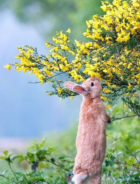 ||  ... || - 8  2015  13:31 - 3