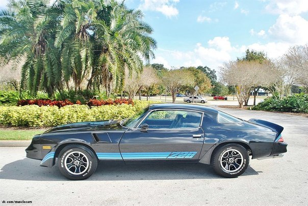 1981 Chevrolet Camaro Z/28 - 3