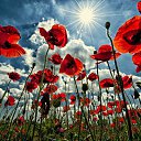  Tatiana,  -  14  2015   Ż