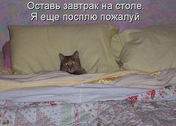  - 22  2015  02:03