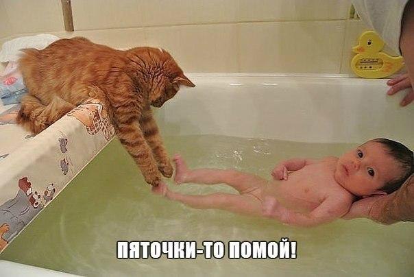   ,  : <a href=