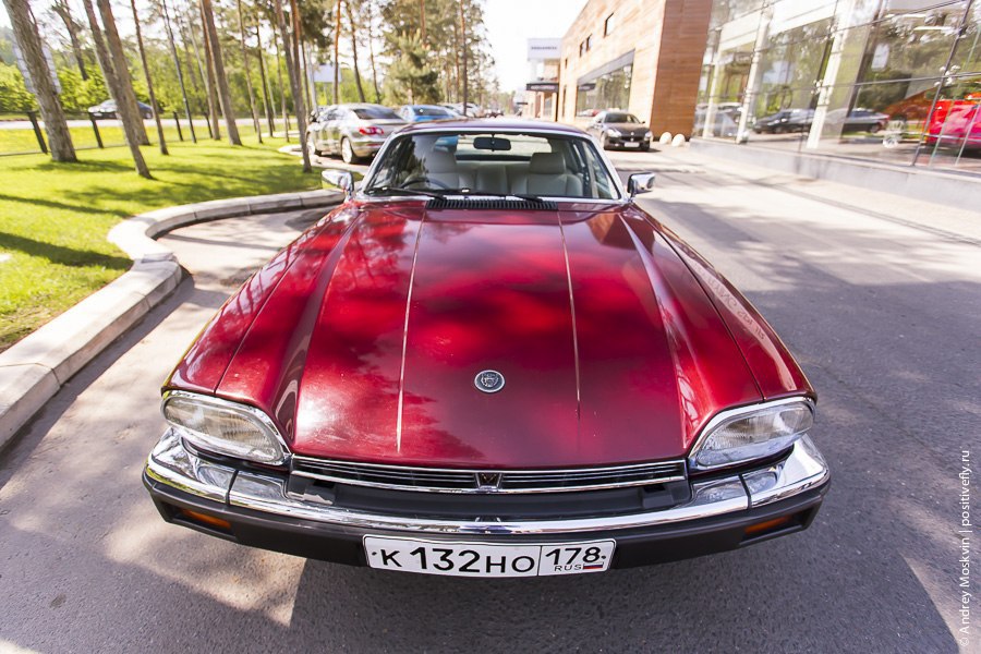 Jaguar XJS HE, 1983. : 260 /  100 /: 7.5  : ... - 4