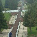  , , 47  -  7  2015     ,  2013 .