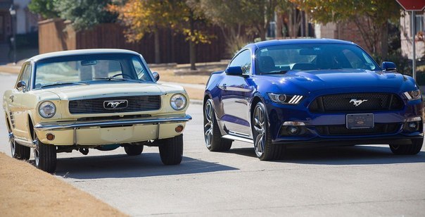 1966 Mustang & 2015 Mustang - 3