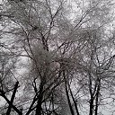  ,  -  15  2015   