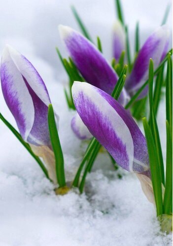 , ,  - 10  2015  12:46 - 5