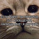  , --, 43  -  8  2015    