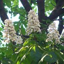 ���� ���������, �����-��������� - ��������� 14 ������� 2014 � ������ ���� ����������