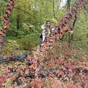 ���� ��������� Ը������, �������, 57 ��� - ��������� 21 ������� 2014 � ������ ���� ����������