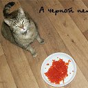 ���� Aleksandr, ���������, 54 ���� - ��������� 22 ������� 2014 � ������ ������ ��������