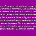 ���� ��������, ���������, 61 ��� - ��������� 27 ����� 2015 � ������ ���� ����������
