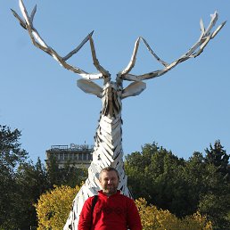 �����, ������, 44 ����