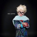  Apfel,  -  1  2015    