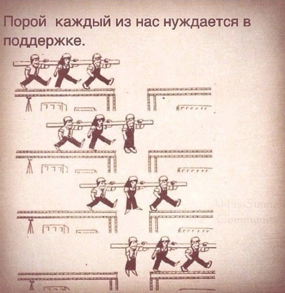 LIFE -  - 5  2015  23:28