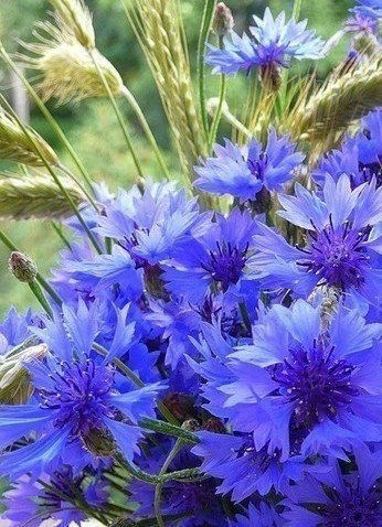 ,   !).   https://fotostrana.ru/away?to=/sl/KE2 - 6