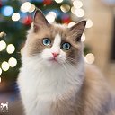 ���� �����, �������, 59 ��� - ��������� 25 ������ 2015 � ������ ������ ��������