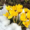 ���� �������, ������ - ��������� 26 ������� 2015 � ������ ������ ��������