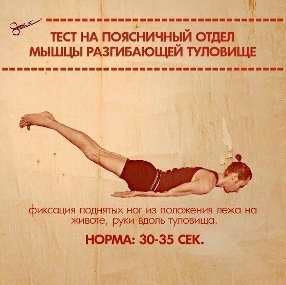 В вашей практике помимо упражнений на вытяжение должны обязательно присутствовать и силовые асаны. - 9