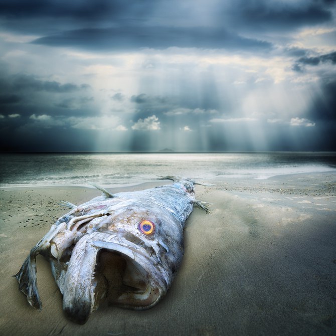  John Wilhelm - 39