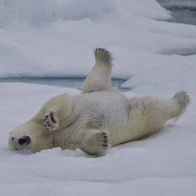  National Geographic