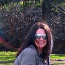 ���� �������, ��������� - ��������� 20 ������ 2015 � ������ ���� ����������